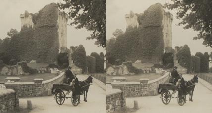 Ross Castle and Irish Jaunting Car Ireland (3d, Horse and Trap, Ireland, Jaunting car, Kerry, Kilarney, Ross Castle, vehicle)