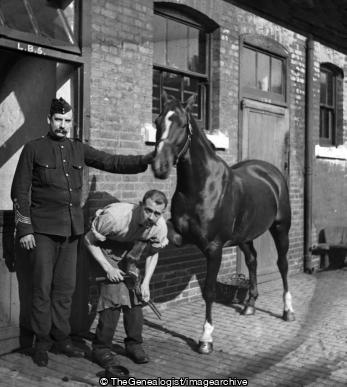 Shoeing Military Horse (Farrier, Horse, Military, Soldier, Stables)