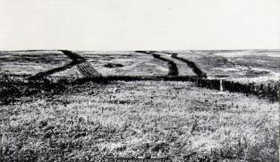 Spring 1917 Wire on the Hindenburg Line (1917, 5th Battalion, Barbed Wire, Cameronians, Hindenburg Line, Scottish Rifles, WW1)