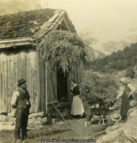 Taking Hay down from the Mountains, Norway (3d, Barn, Farm, Norway)