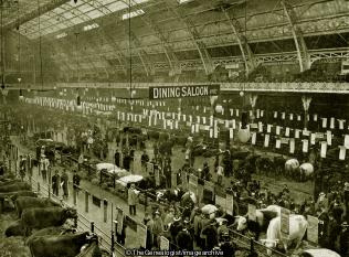 The Cattle Show 1895 (London, The Cattle Show 1895)