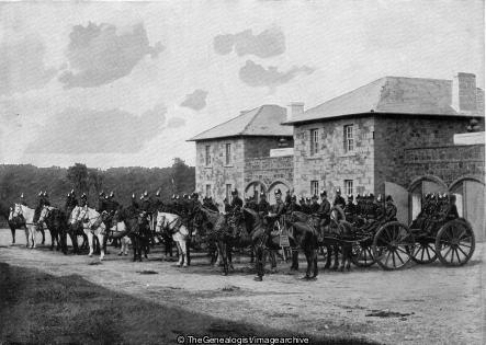 The Jersey Artillery (1896, Channel Islands, Horse, Jersey, Jersey Artillery)