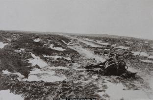 The Trail to Passchendaele (Belgium, Dead, Mule, No Man's Land, Passchendaele, Passendale, Snow, West Flanders, WW1)
