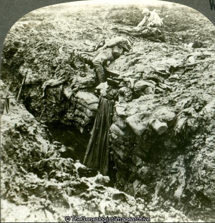Through Sickly Shrapnel Sown Meadows Reaped by Death Alone (3d, C1917, Sandbag, Trench, War Dead, WW1)