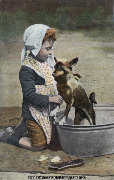 Washing Doggy C1905 (child, Dog)